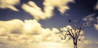 Clima, soffre di ‘ecoansia’ il 67% dei giovani nel mondo