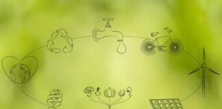 Decarbonizzazione imprese, -28 mln tonnellate di CO2 e benefici per 5,5 mld al 2030