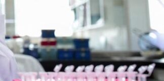 Delitto del trapano a Genova, un Dna potrebbe incastrare il sospettato dopo 30 anni