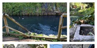 Giardini Salvi, Raffaele Colombara di “Per una grande Vicenza” interroga sul loro stato attuale: “Un immondezzaio a cielo aperto” Giardini Salvi in degrado