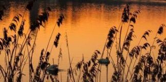 Giornata mondiale Zone Umide, la minaccia della crisi climatica