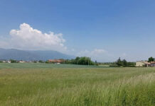 Hub logistica a Bassano del Grappa, il Pd bacchetta il comportamento dell’assessore all’Urbanistica Viero Hub logistica san lazzaro bassano del Grappa insediamenti produttivi