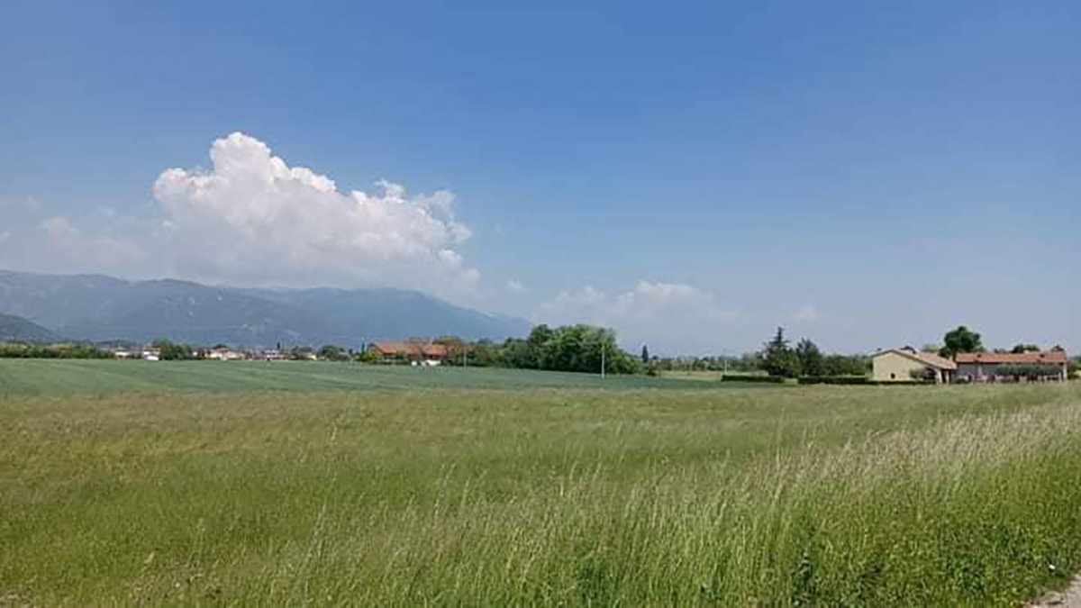 Hub logistica san lazzaro bassano del Grappa insediamenti produttivi