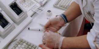 Ipercolesterolemia, italiani spengono gene difettoso senza modificare Dna