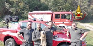 Lillo, cane meticcio di 16 anni, cade in dirupo a San Zeno a Schio: lo salva operatore Speleo alpino Fluviale dei vigili del fuoco Lillo, cane meticcio di 16 anni, cade in dirupo a San Zeno a Schio, lo salvano vigili del fuoco