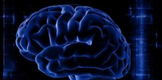 Neuralink, chip nel cervello follia o futuro? Il parere dell’esperto