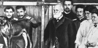 Psicologia sociale e autorità: possiamo liberarci dai condizionamenti sociali? Principio di autorità, il cane di Pavlov