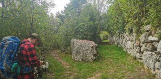 Vallarsa, una passeggiata per scoprire la Romea Strata: rotta dei pellegrinaggi dall’Est Europa a Roma romea strata