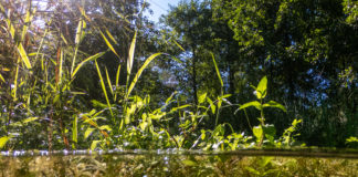 Siamo fatti d’acqua: Viacqua sostiene il concorso artistico rivolto alle scuole Siamo fatti d’acqua