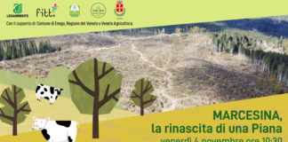 Enego: Comune, Legambiente e Coldiretti per la rinascita della Piana della Marcesina Vaia Marcesina