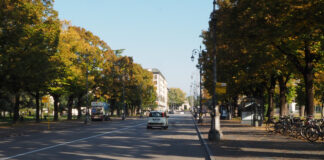 “Toponimi vicentini narrati da Luciano Parolin”: Viale Roma, con Campo Marzo doveva essere il luogo di passeggio dei Vicentini Viale Roma mercato epifania vicenza