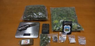 Chiuppano, minimarket della droga scoperto dalla Polizia locale Nordest Vicentino: arrestato un giovane minimarket della droga a chiuppano