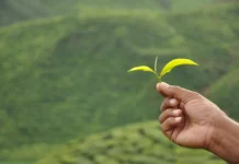 Premio Territorio equosolidale al Veneto al Forum Compraverde Buygreen 2022 di Roma Premio Territorio equosolidale