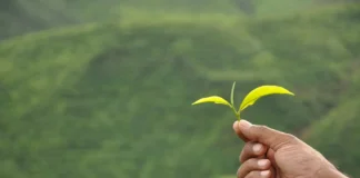 Premio Territorio equosolidale al Veneto al Forum Compraverde Buygreen 2022 di Roma Premio Territorio equosolidale