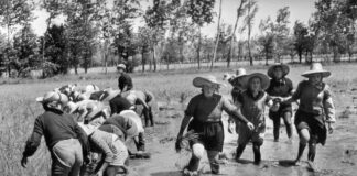 Vercelli, parte seconda: la storia e la tradizione contadina – La Via Francigena destinazione Roma, la 9ª tappa dal Nord copertina vercelli 2