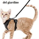 Il gatto, Aduc: l’assassino del giardino