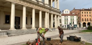 Vicenza, al via i lavori di riqualificazione delle aiuole davanti a Palazzo Chiericati palazzo chiericati