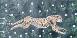 Vicenza e poesie tra animali, in contra’ San Gaetano Thiene una mostra di Enrico Mitrovich Enrico Mitrovich.