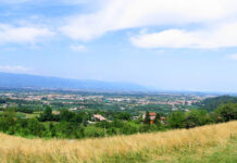 Impianto rifiuti a Isola Vicentina: interrogazioni in provincia dei consiglieri di Vicenza in Comune caporalato a isola vicentina impianto rifiuti