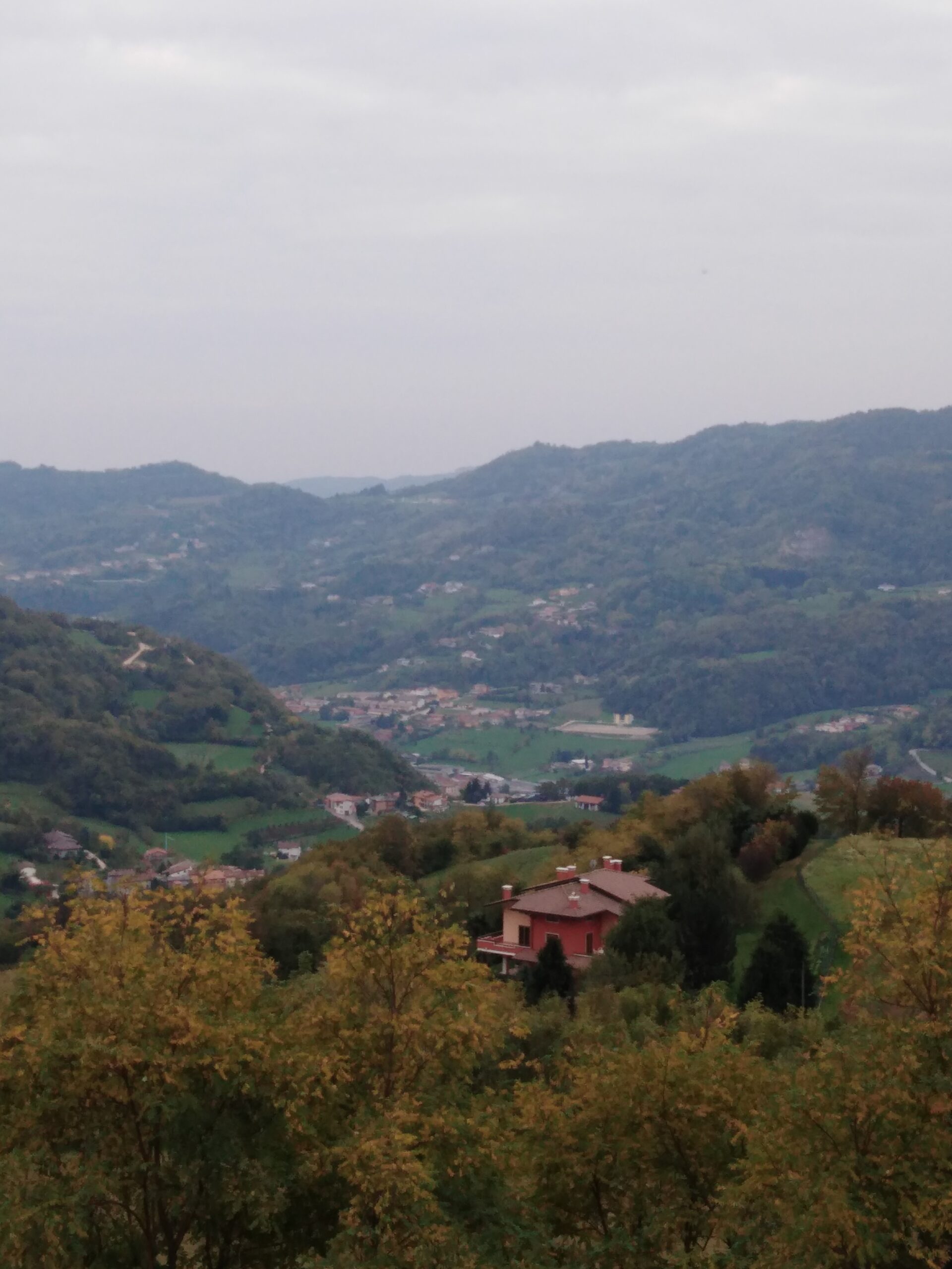 panorama alvese