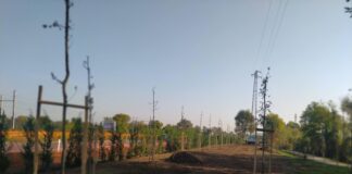 Altavilla Vicentina, riqualificazione del Parco Laghetto comunale: fine lavori in autunno 2023 parco laghetto altavilla vicentina