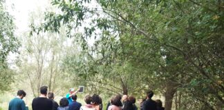 Viacqua e scuola: prima lezione alle Risorgive per oltre 40 docenti viacqua e scuola