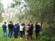 Itinerari Sostenibili, Viacqua e ViAmbiente portano acqua e ambiente nelle scuole Itinerari Sostenibili nelle scuole vicentine con Viacqua e ViAmbiente