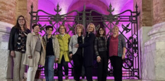 Vicenza e prevenzione, la loggia del Capitaniato si tinge di rosa vicenza prevenzione rosa copia