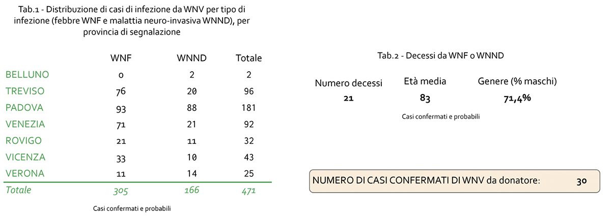 west nile bollettino veneto al 21 ottobre copia