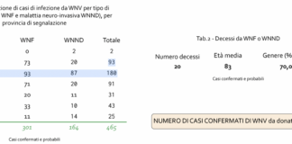 West Nile Veneto: altri 12 casi e un nuovo decesso nell’ultima settimana west nile veneto