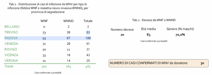 west nile veneto