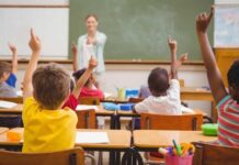 Train the Trainer, cosa serve all’insegnante per allenare alla leadership. Confcommercio Vicenza: incontro on line con l’Esac Scuola Offerta formativa territoriale