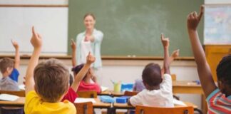 Train the Trainer, cosa serve all’insegnante per allenare alla leadership. Confcommercio Vicenza: incontro on line con l’Esac Scuola Offerta formativa territoriale