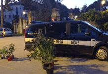 Coltivava marijuana in casa, denunciato un 39enne a Thiene Coltivava marijuana in casa, denunciato un 39enne a Thiene