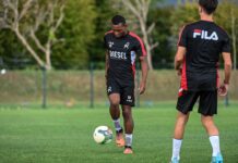 LR VIcenza, ecco il Programma allenamenti della settimana Allenamenti Lr Vicenza