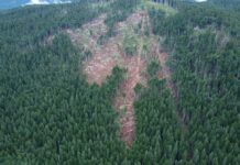 Tempesta Vaia, il bilancio dell’amministrazione comunale di Asiago Asiago tempresta Vaia