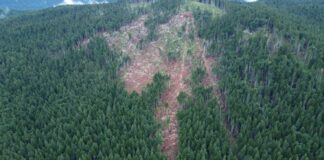 Tempesta Vaia, il bilancio dell’amministrazione comunale di Asiago Asiago tempresta Vaia