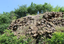 Luoghi del Cuore Fai, classifica provvisoria dei più votati in Veneto: c’è Gambellara luoghi del cuore fai veneto gambellara