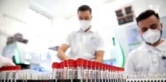 Covid in Italia oggi, nuovo bollettino: i dati