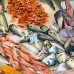 Da Msc-Ieo 9 ricette di pesce amiche della salute e dell’ambiente