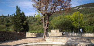 Boschi a Natale, a Longare: una camminata a Lumignano e ai Colli Berici boschi a natale