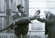 Museo Zannato di Montecchio Maggiore, per il centenario una spedizione in Argentina spedizione in argentina Zannato Museo