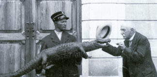 Museo Zannato di Montecchio Maggiore, per il centenario una spedizione in Argentina spedizione in argentina Zannato Museo