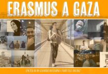Quel pasticciaccio brutto dell’ITIS “Rossi” su Erasmus a Gaza: un caso nazionale ITIS Rossi Vicenza, Erasmus in Gaza
