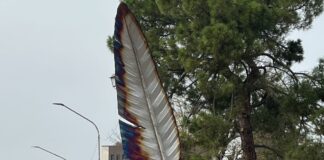 Adunata Nazionale degli Alpini 2024 a Vicenza, Zaia: “Istituito comitato, 600 mila euro per l’evento” Monumento degli alpini a Vicenza