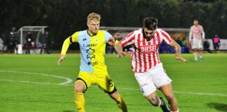 Arzignano Valchiampo – LR Vicenza 0-1: Dalmonte segna e Modesto vince ancora Nicola Dalmonte (Lr Vicenza)