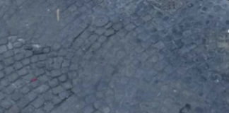 Compago, farfalla di scavalco e parcheggi: tre pietre d’inciampo, nel senso letterale, per Rucco. Che reagisce… Pietre di inciampo a Vicenza