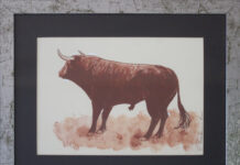 “Aficionados”, a Vicenza nasce comunità di appassionati dell’arte di Roberto Montanari aficionados