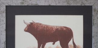 “Aficionados”, a Vicenza nasce comunità di appassionati dell’arte di Roberto Montanari aficionados