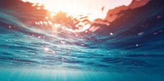 Torna Seif, il festival dedicato al mare